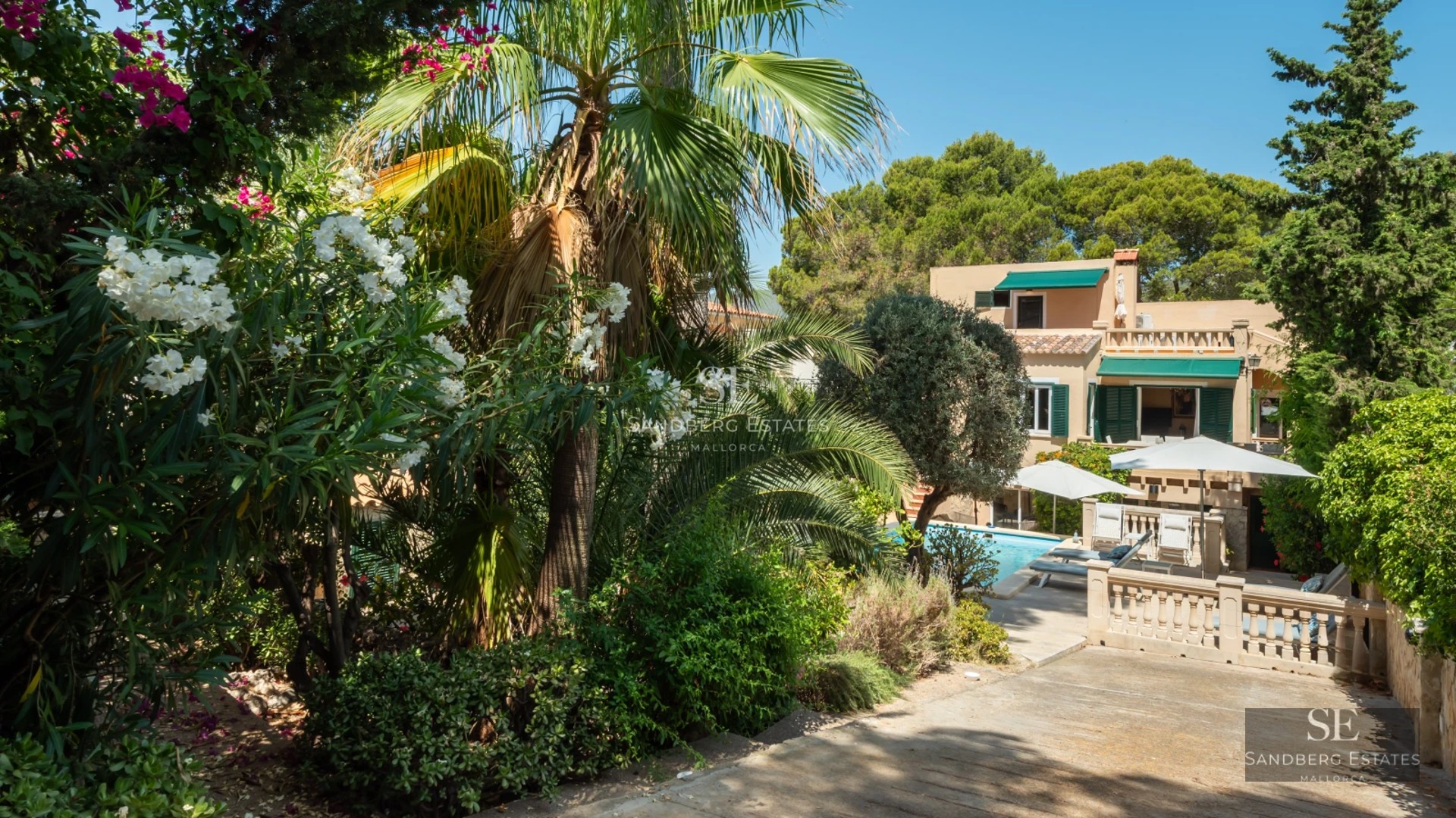 Image of villa featuring a pool, large windows, modern design, elegant furniture and lush greenery. Minimalist architecture.