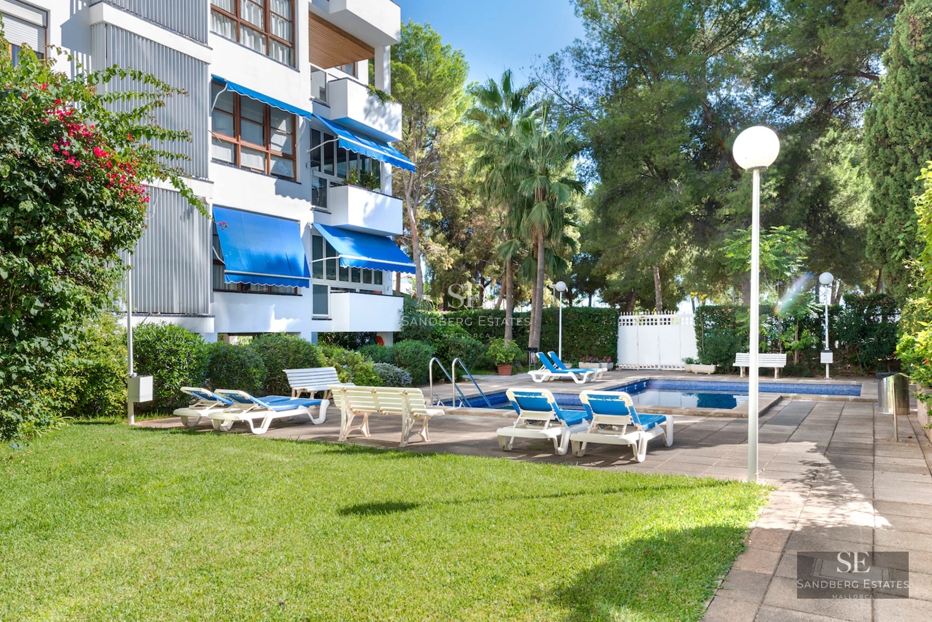 Large swimming pool surrounded by lush greenery. Modern architecture with large windows and sunny terrace. Designed outdoor spaces.