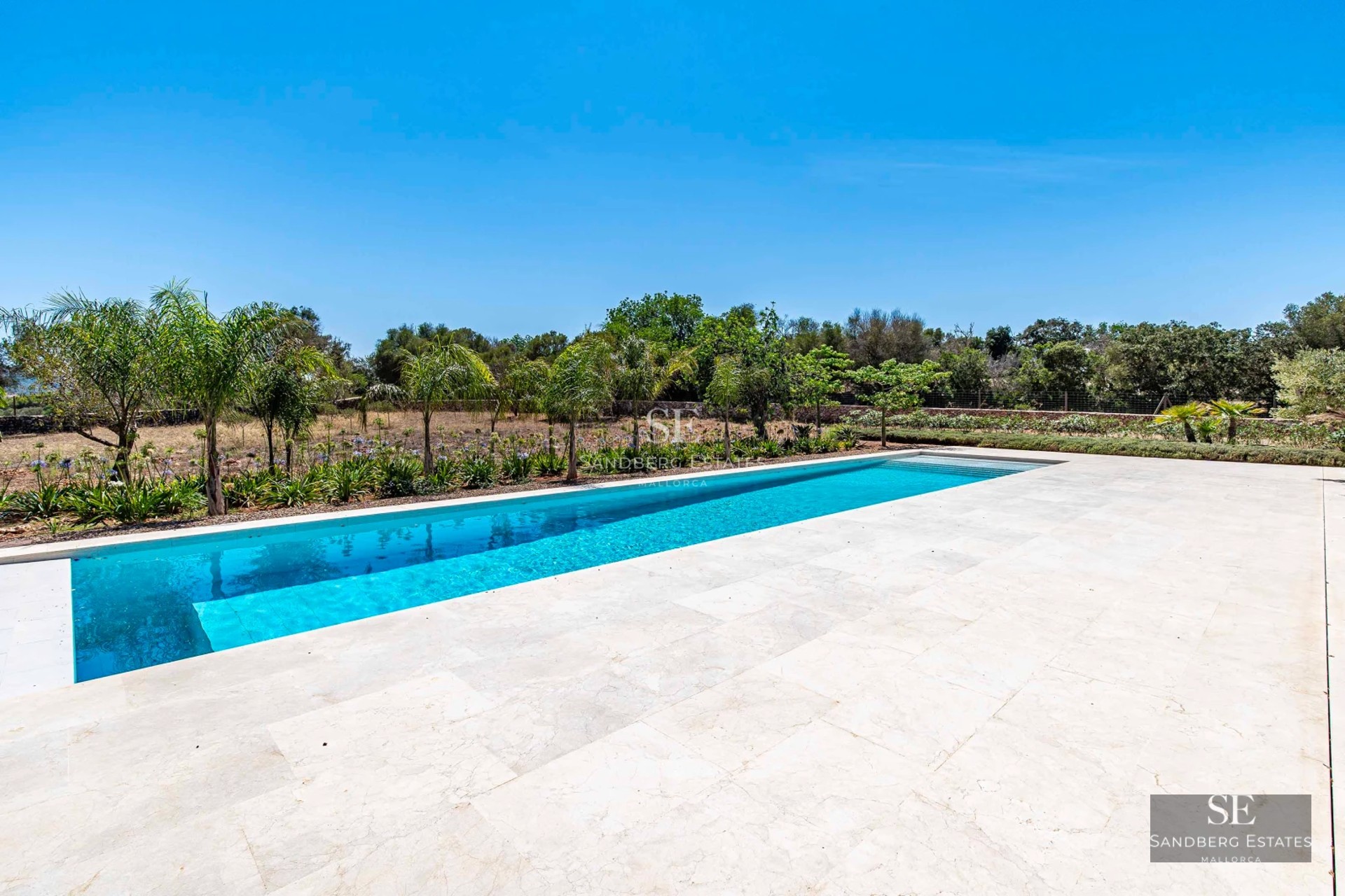 Exterior view of a modern villa with pool, surrounded by a garden and featuring large windows. Minimalist architecture and lush landscaping.