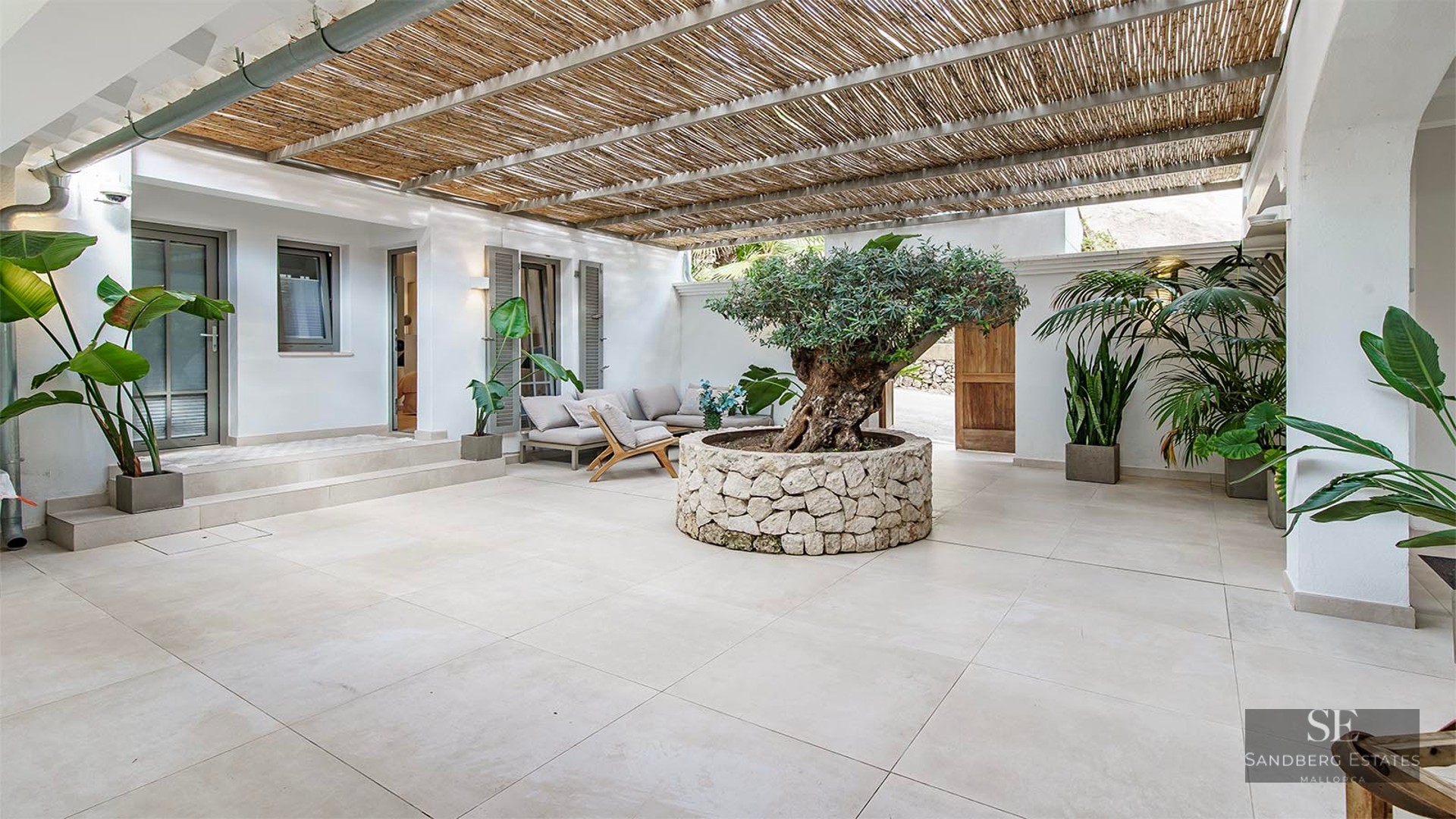 Sunlit terrace featuring a central olive tree in a stone planter, a reed pergola, and elegant lounge furniture.
