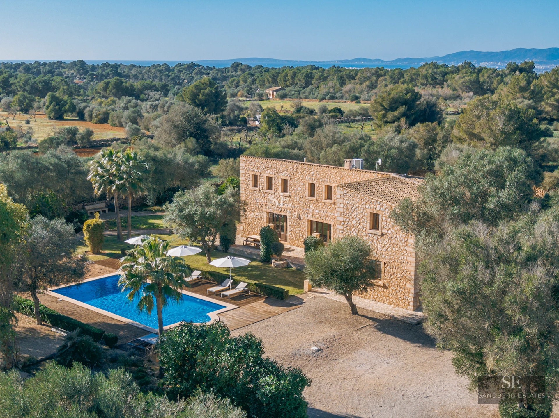 Modern facade with infinity pool, large windows, minimalist design, and lush gardens. Contemporary and elegant architecture.