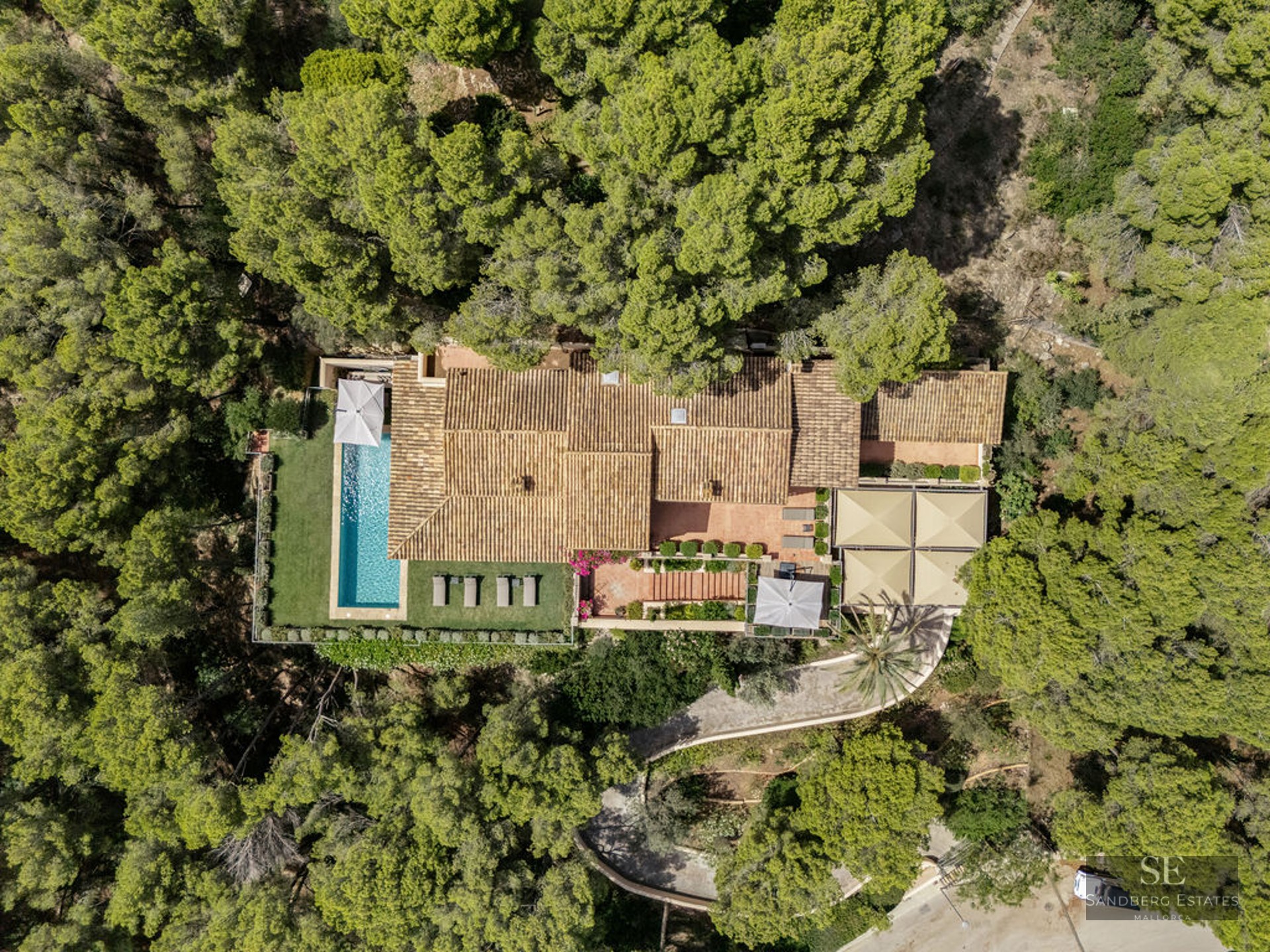 Top-down aerial view of a terracotta-roofed villa and pool surrounded by a dense pine forest.