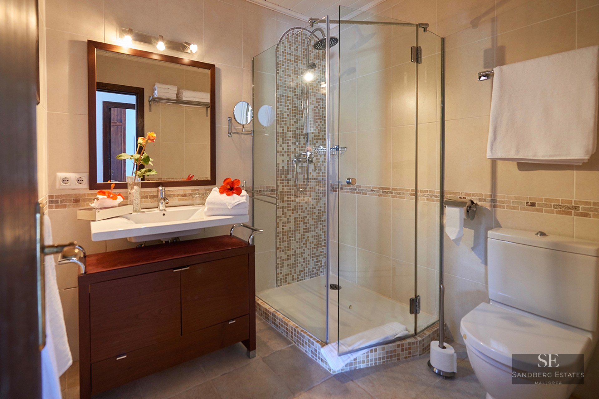 A bathroom featuring a dark wood vanity, a glass-enclosed walk-in shower with mosaic tiles, and a toilet.
