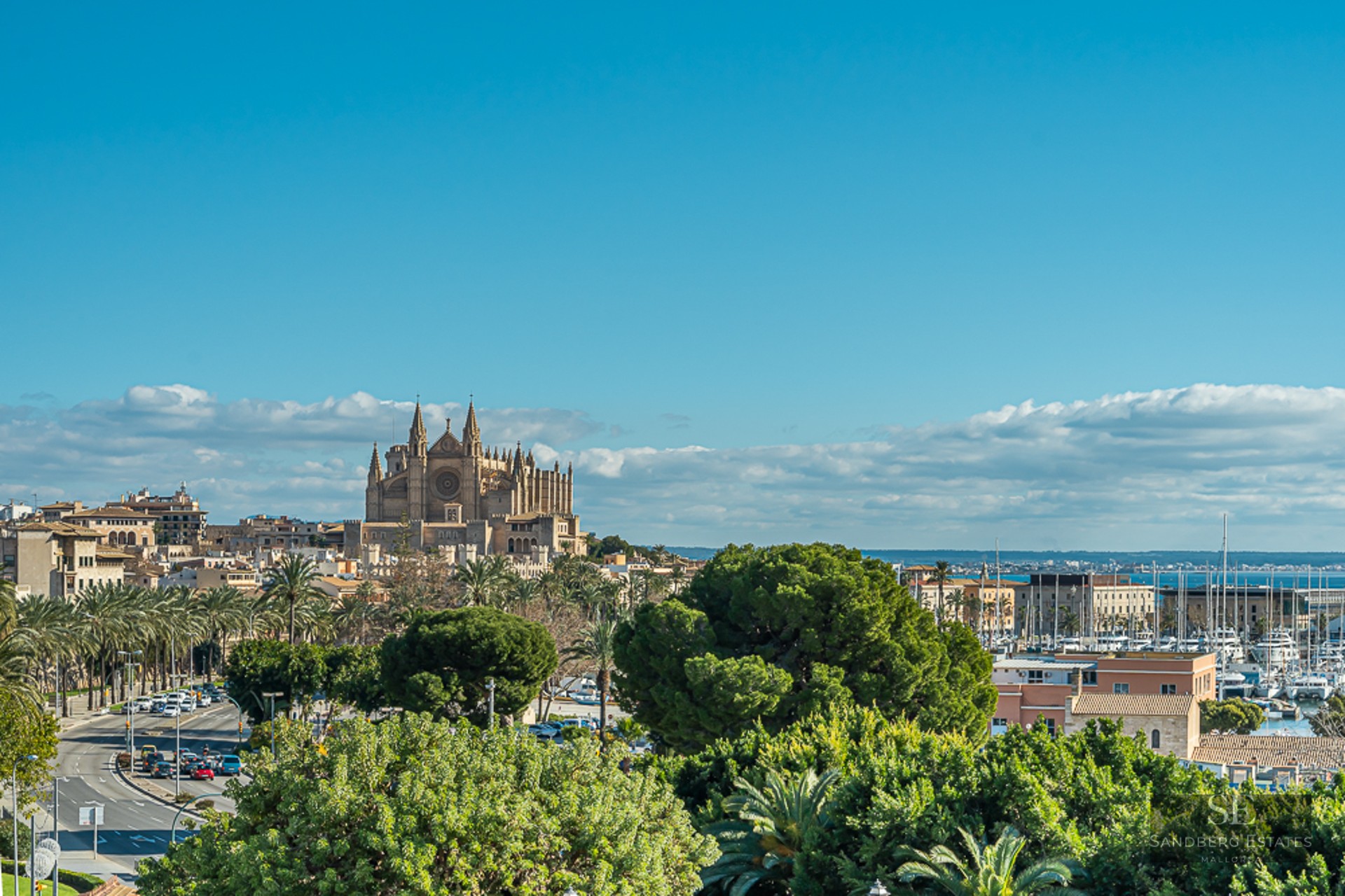 Wide view of the Palma de Mallorca Cathedral, a busy marina with yachts, and lush green trees under a bright blue sky.
