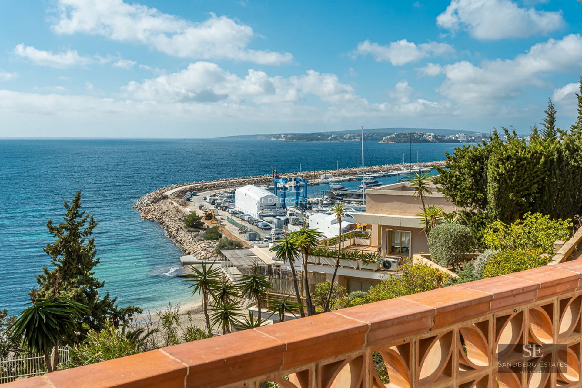 Exterior view of a modern villa with reflecting pool, lounge chairs, and lush garden. Minimalist and elegant architecture.
