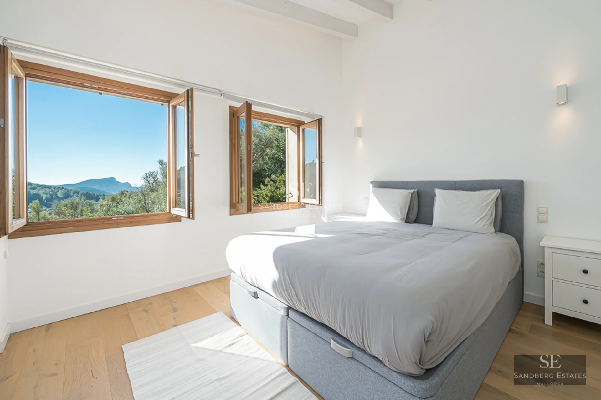 Bright living room with fireplace, large windows, and modern decor. Wooden floors, rug and comfortable sofas.