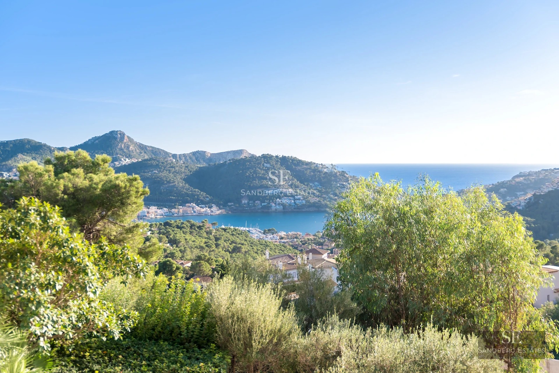 Exterior view of a modern villa featuring a pool, lush garden, and minimalist architecture. Large windows reflecting sunlight.