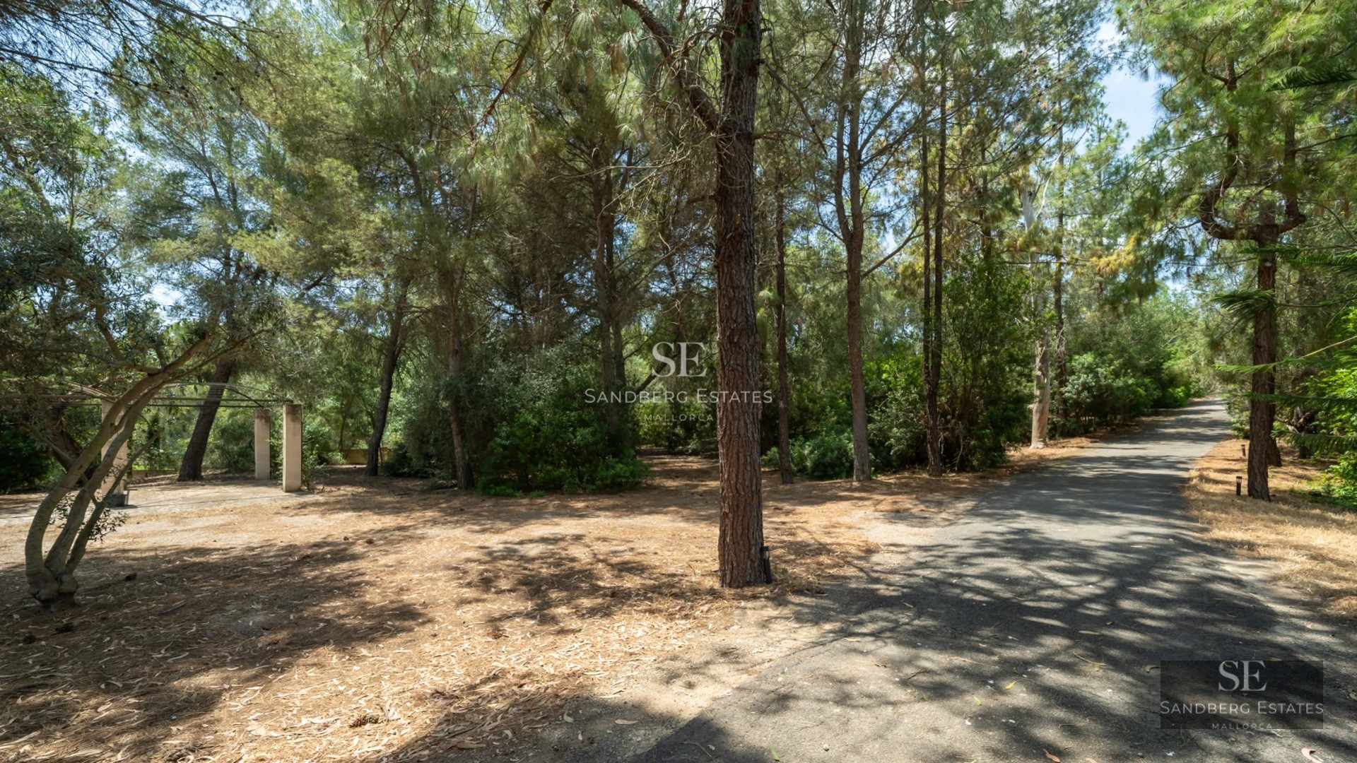 View of a modern villa with an infinity pool, lush garden, and spacious terraces. Contemporary design with high-end finishes.