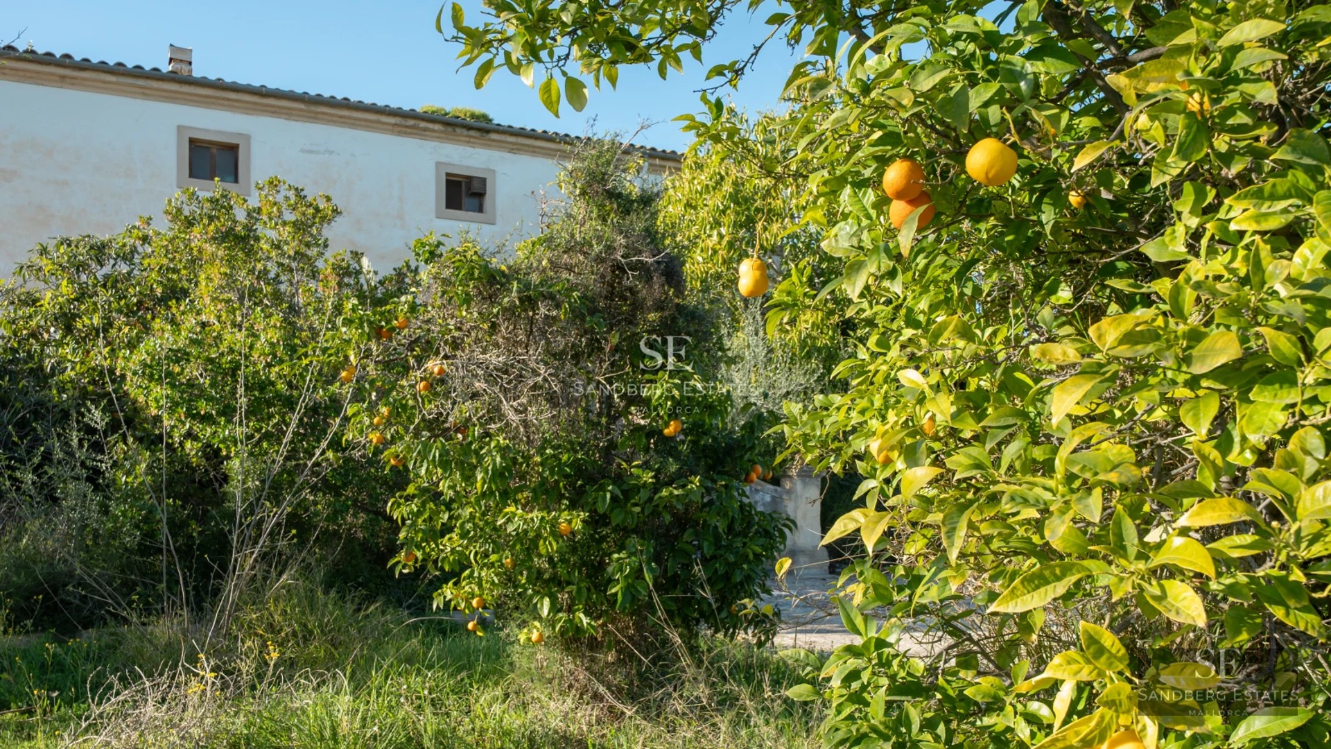 View of a luxurious villa with an infinity pool. Modern design, large windows, spacious terrace, and lush vegetation.