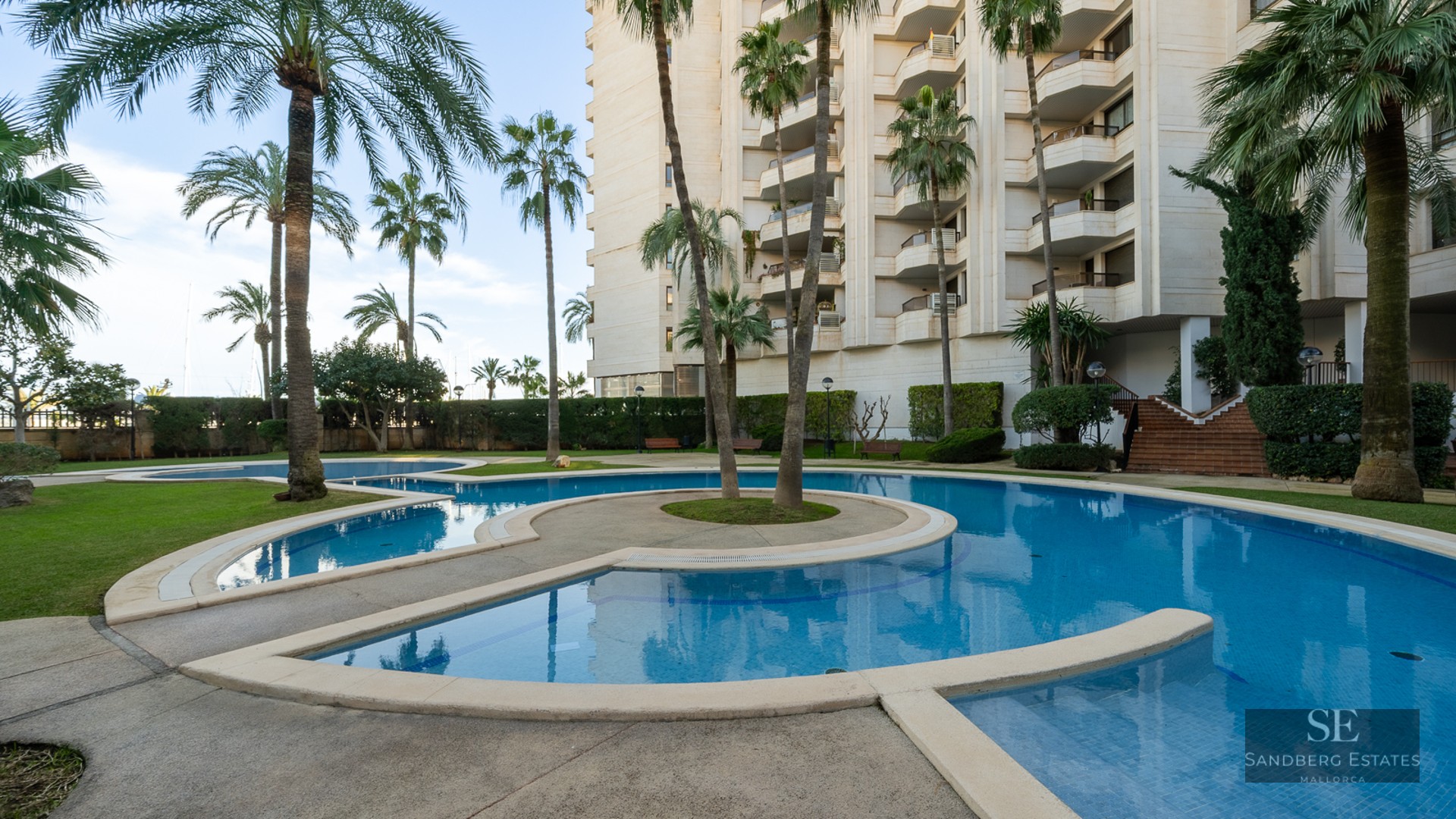 Large curved swimming pool surrounded by tall palm trees and a residential building under a clear sky.