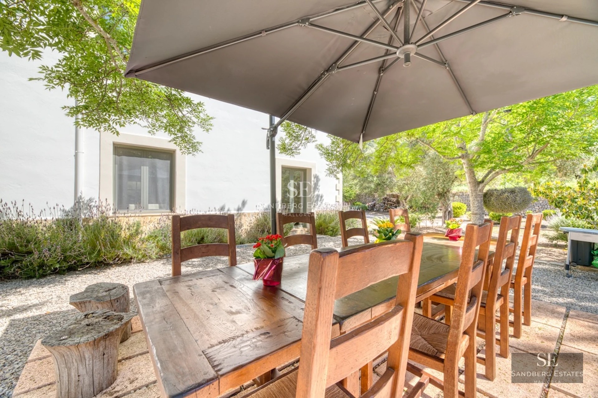 Expansive exterior with infinity pool, sun loungers, lush greenery, and modern architecture. A luxurious oasis.