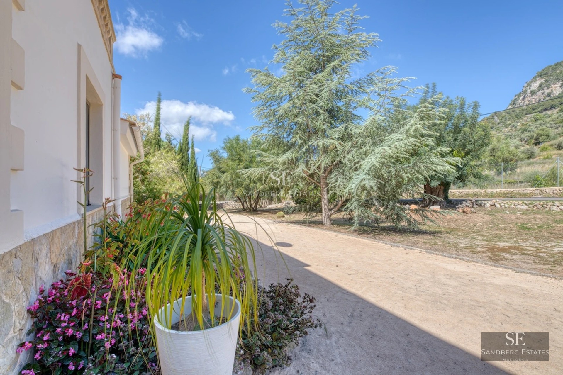 Expansive terrace with infinity pool. Modern design, panoramic views. Designer outdoor furniture. Soft ambient lighting.