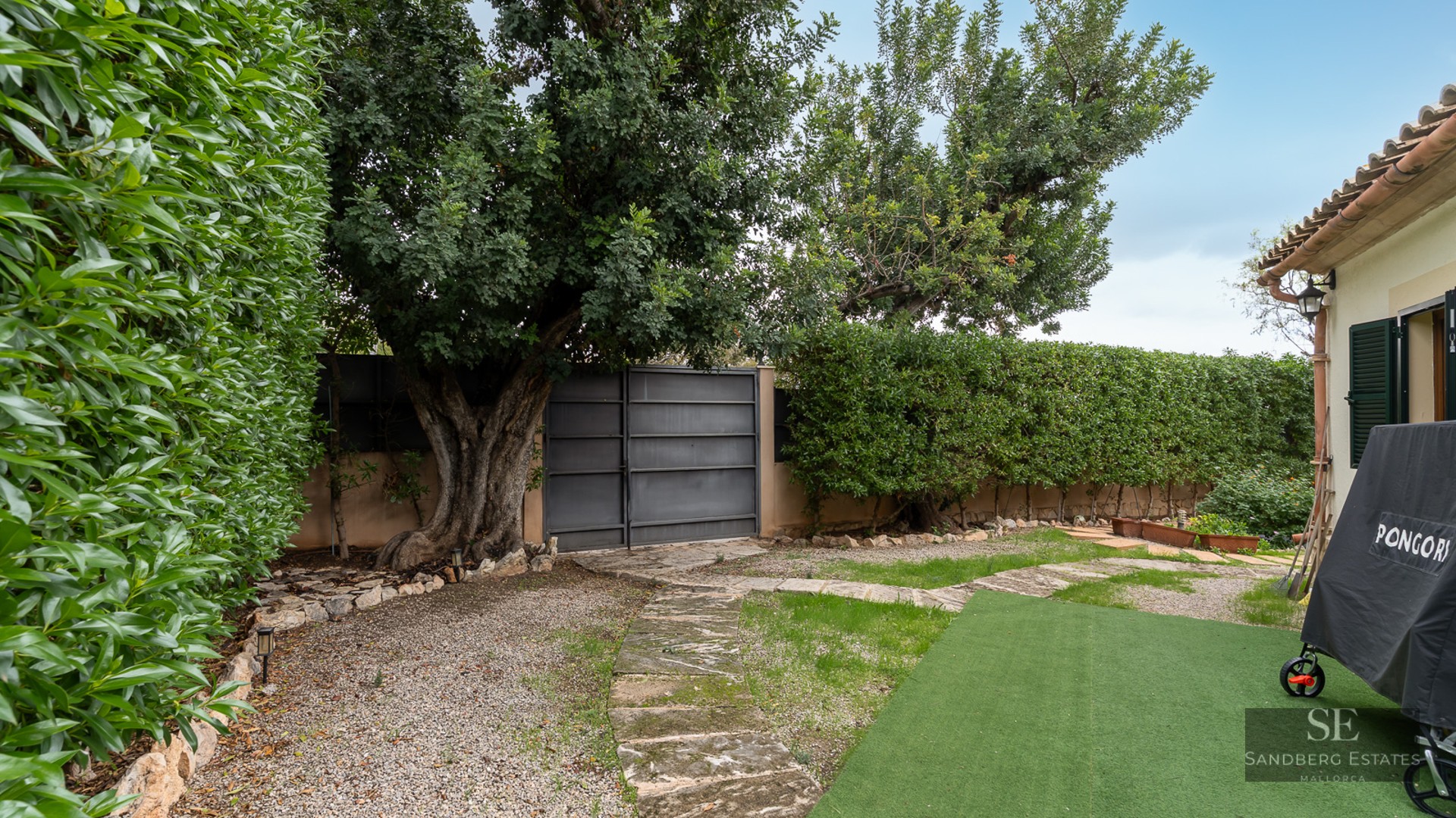 Private garden featuring a stone path, high hedges, a large mature tree, and a metal gate under natural daylight.