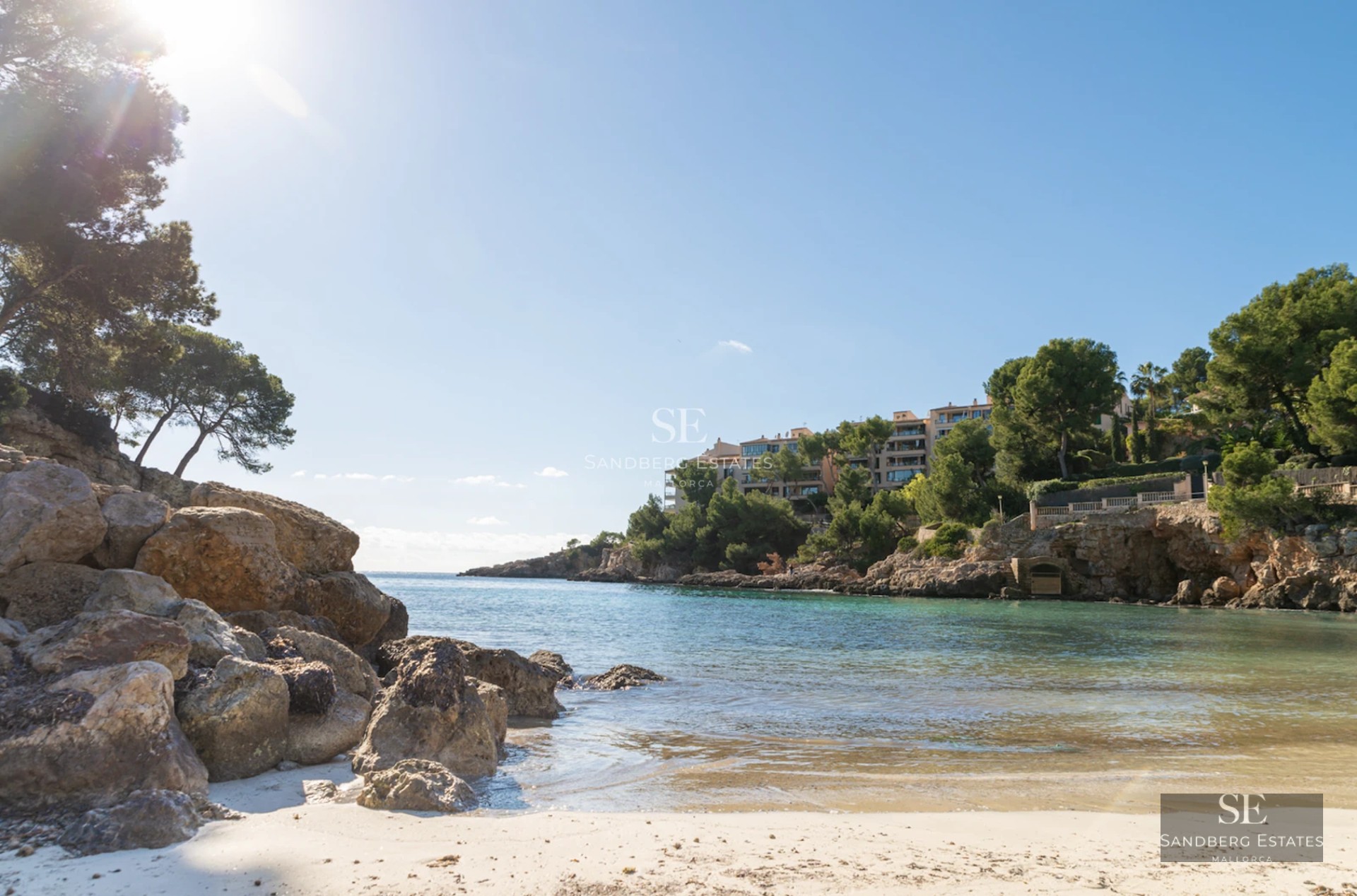 View of an elegant pool with sun loungers, surrounded by lush greenery and a modern house with large windows.