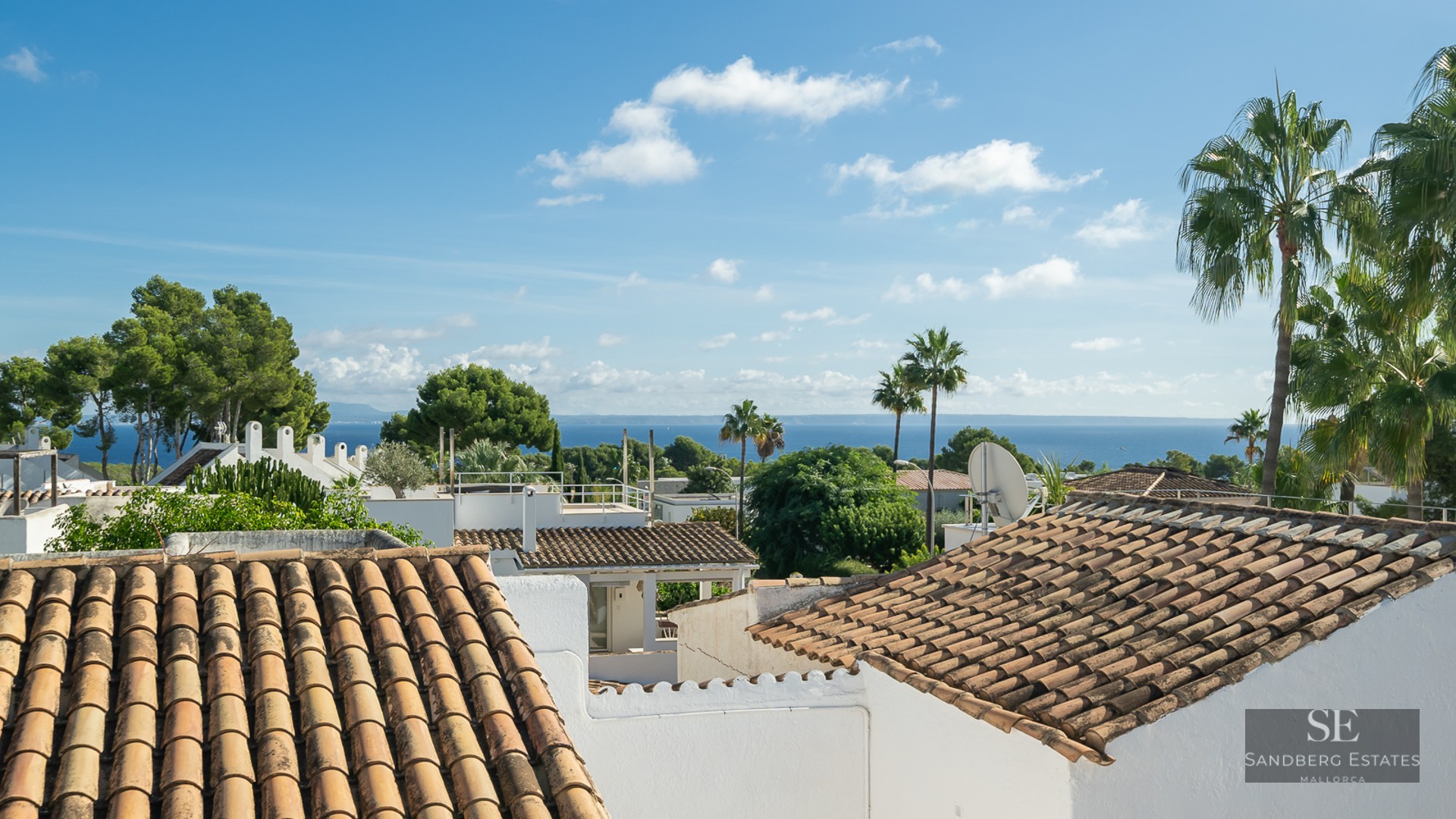 Elevated view of terracotta roofs, white walls, and palm trees with the blue sea in the background under a sunny sky.