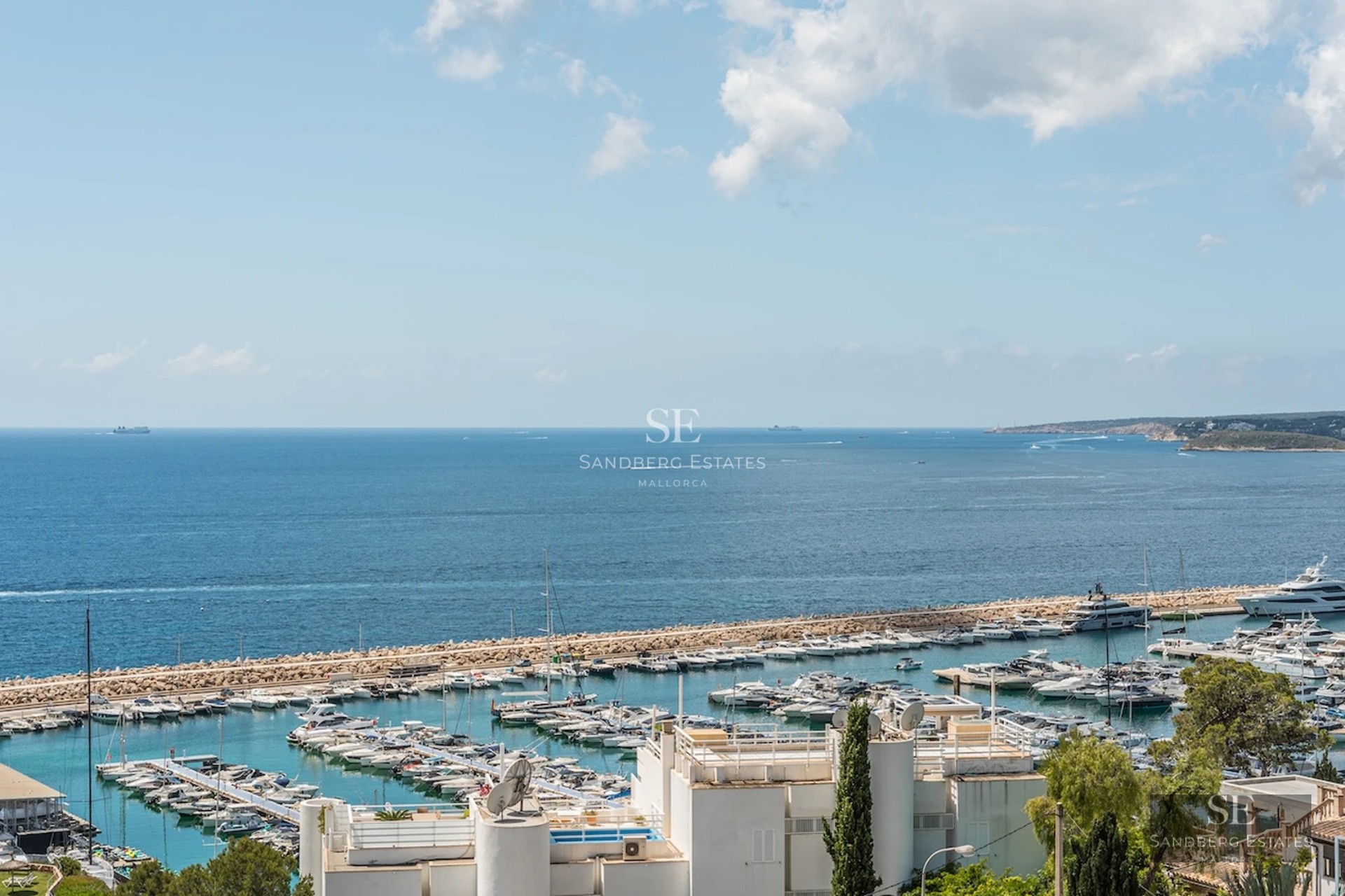 Exterior view of a modern villa with a pool, sun loungers and garden. Minimalist architecture and sophisticated landscaping.