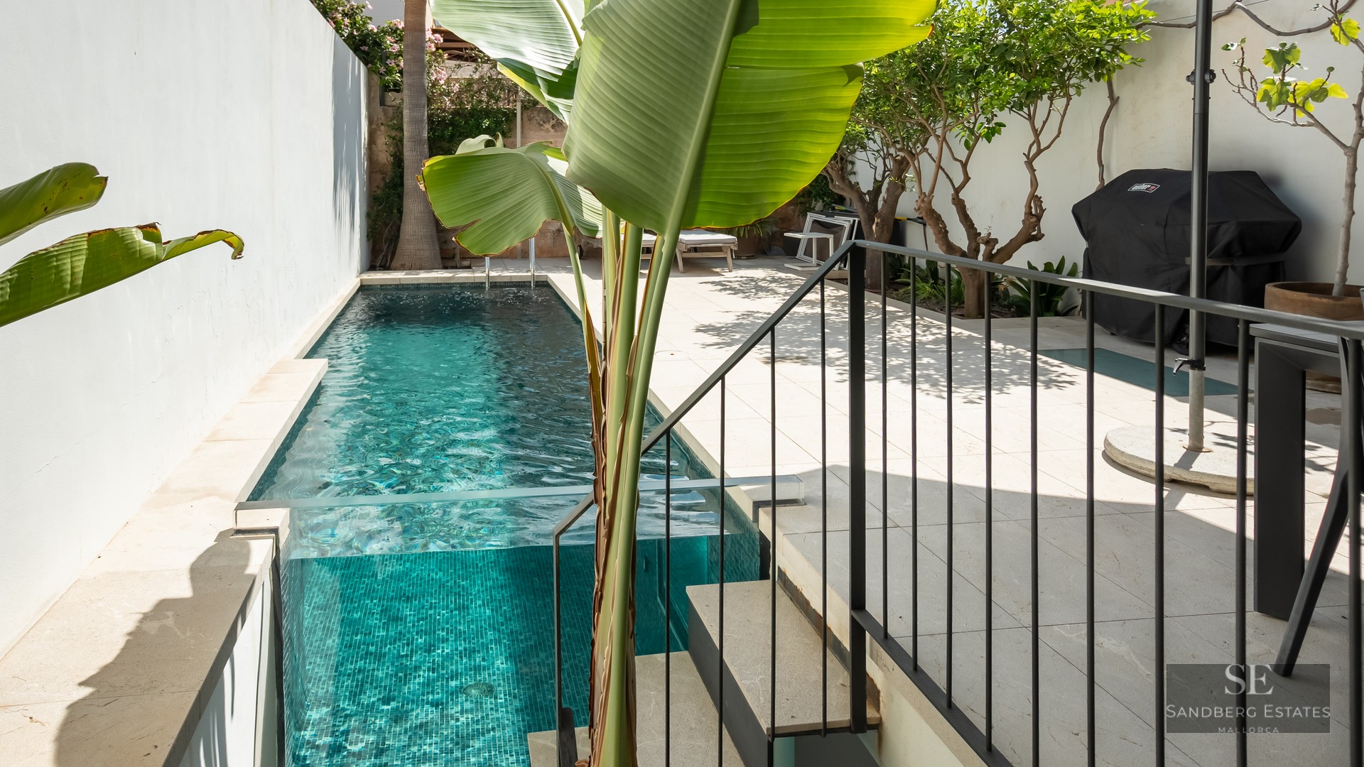 Narrow turquoise swimming pool with a transparent glass wall next to a light stone patio with tropical plants.