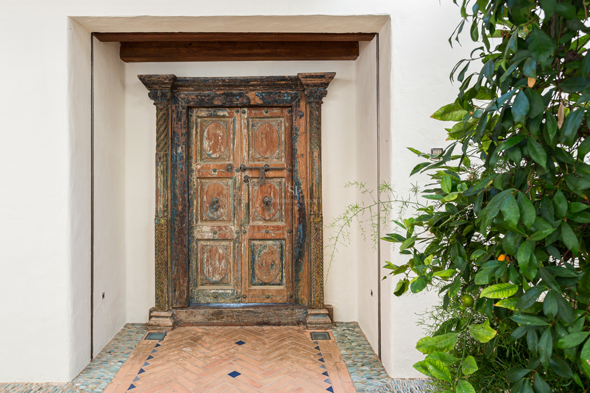 Vue panoramique d'une villa moderne avec piscine à débordement, jardin luxuriant et terrasse couverte. Design élégant et contemporain.