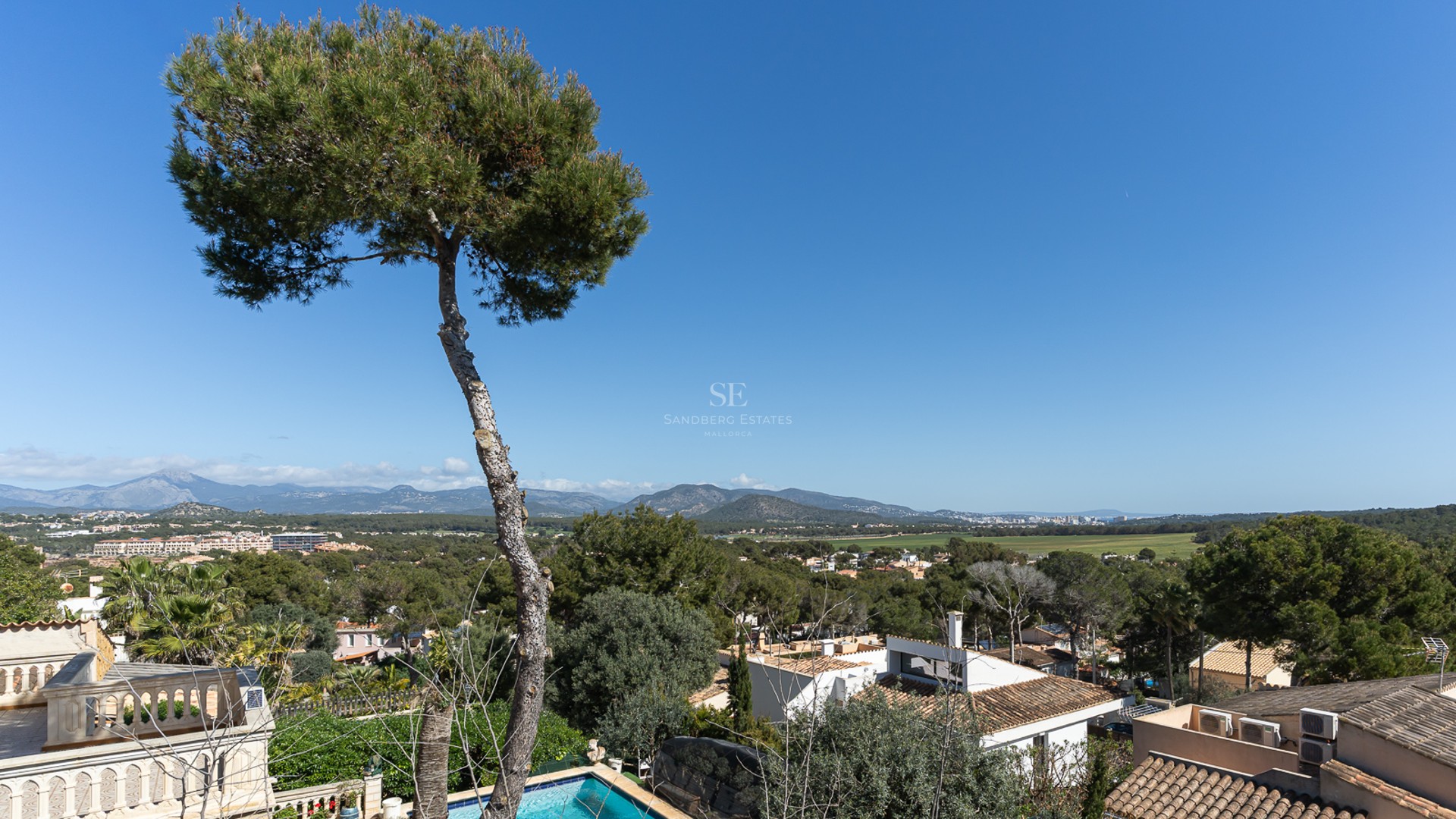 En hög tall i förgrunden med utsikt över en grönskande dal, medelhavsvillor och berg i fjärran under en klarblå himmel.