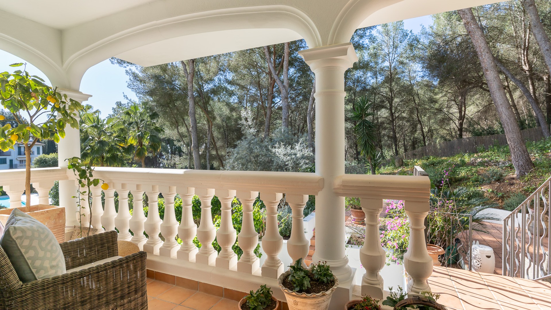 Covered terrace with white balustrade and terracotta tiles overlooking a lush pine forest.
