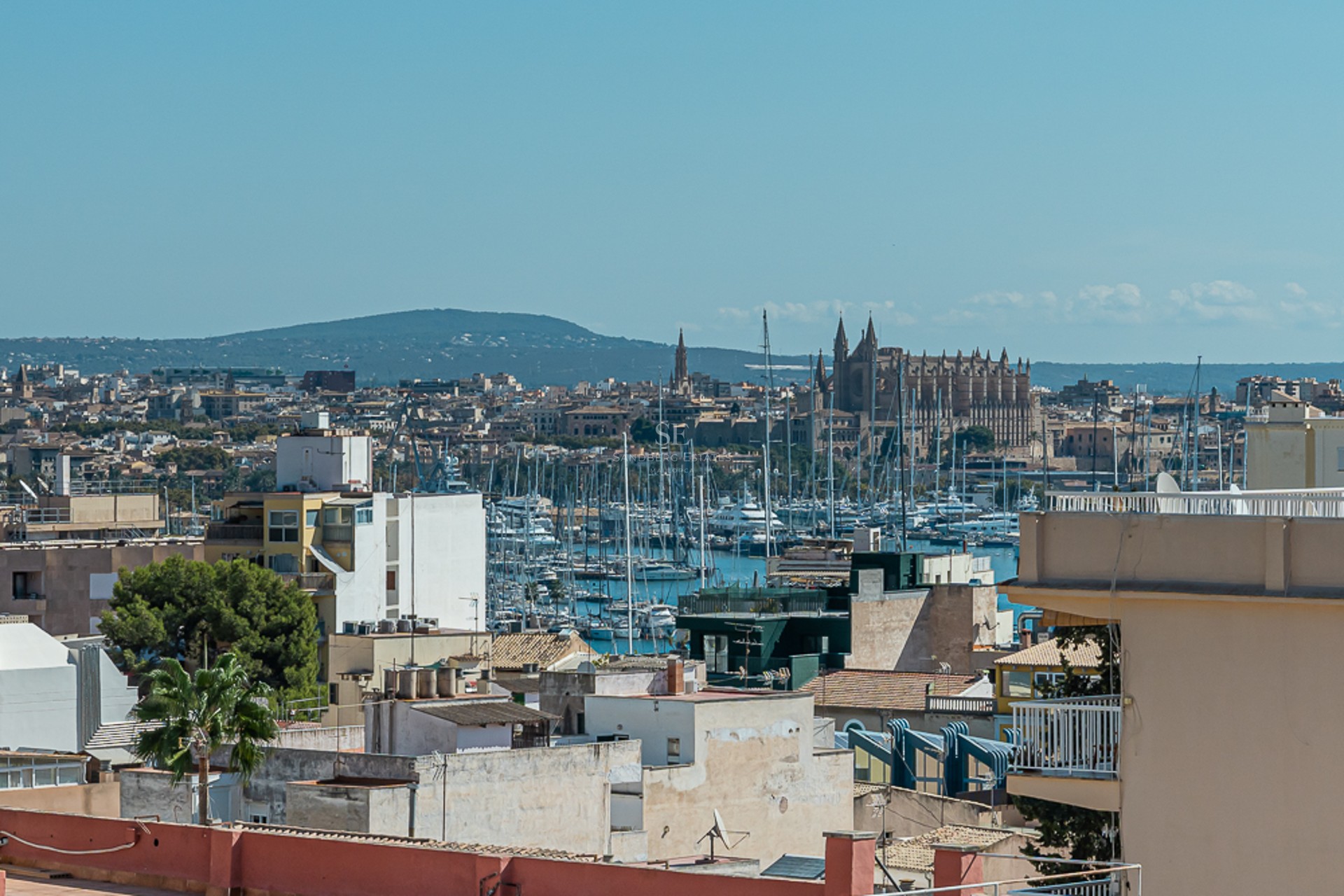 Elevated city view of Palma de Mallorca featuring the Gothic cathedral, marina yachts, and distant mountains.