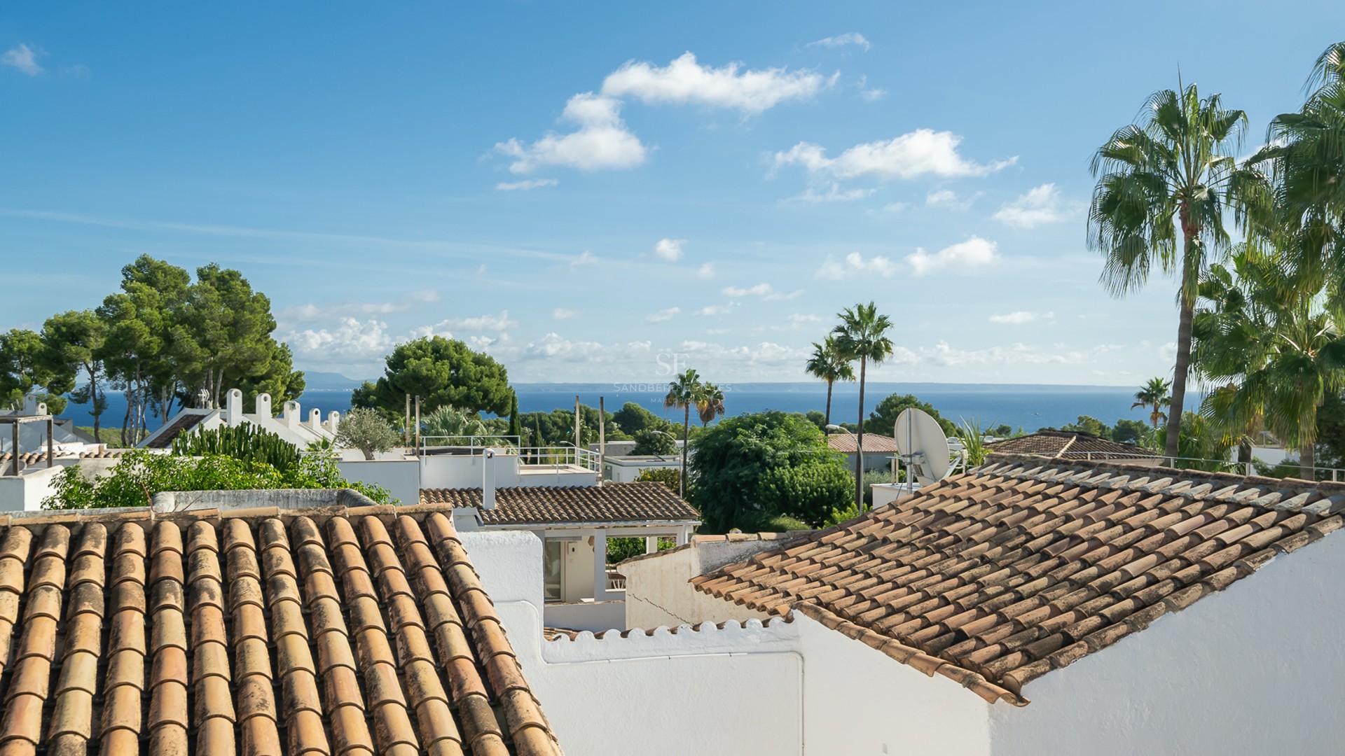 Vue surélevée de toits en terre cuite, de murs blancs et de palmiers avec la mer bleue en arrière-plan.