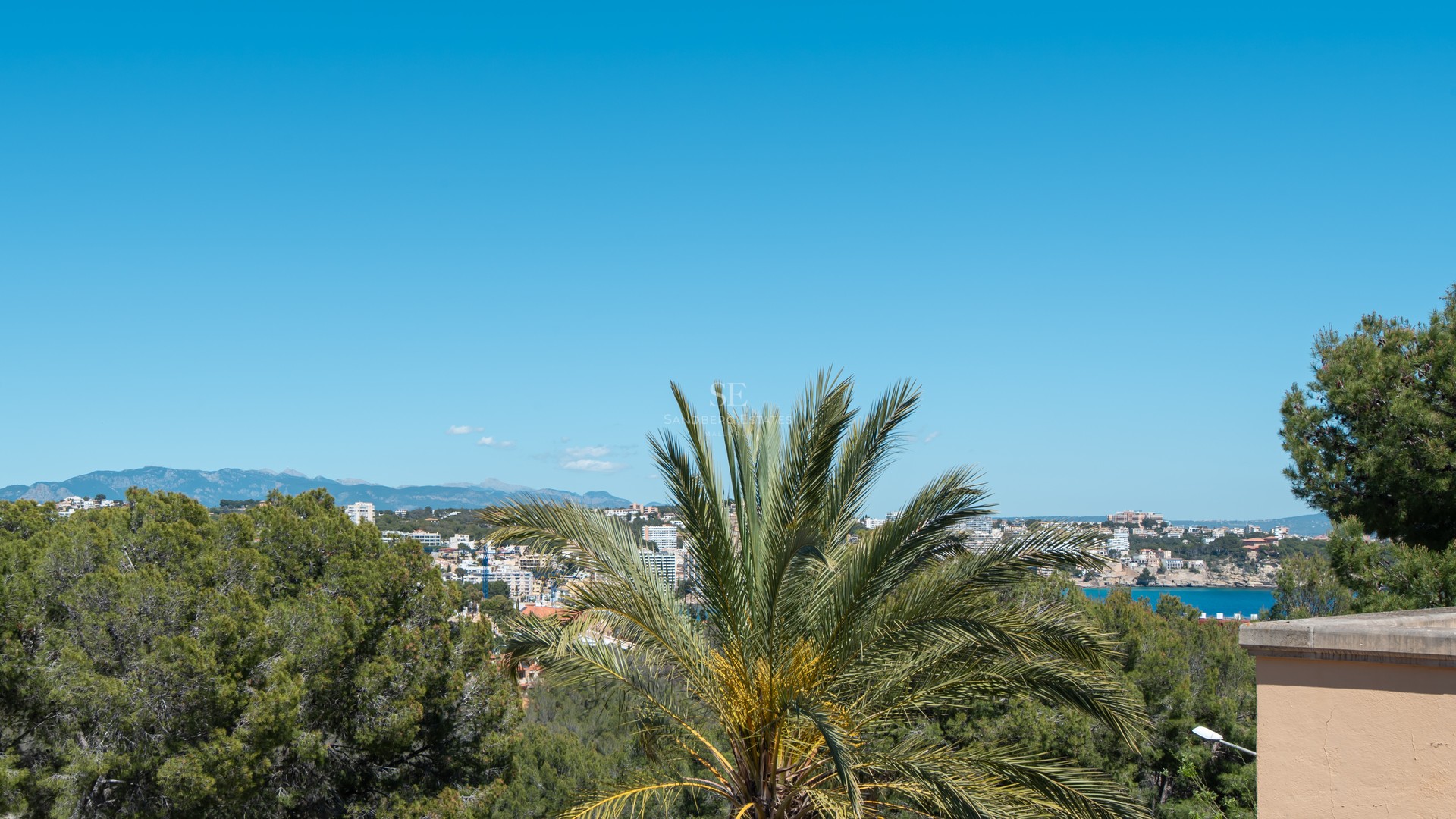 Elevated view of a coastal town, blue sea, and distant mountains framed by a palm tree and pine foliage.