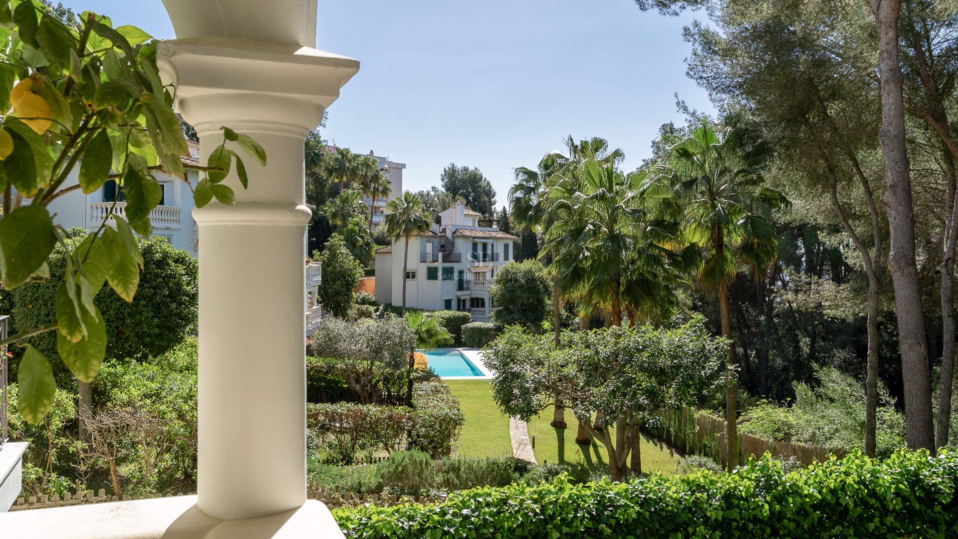 View from a white terrace column of a lush green garden with a blue swimming pool and palm trees under a clear sky.