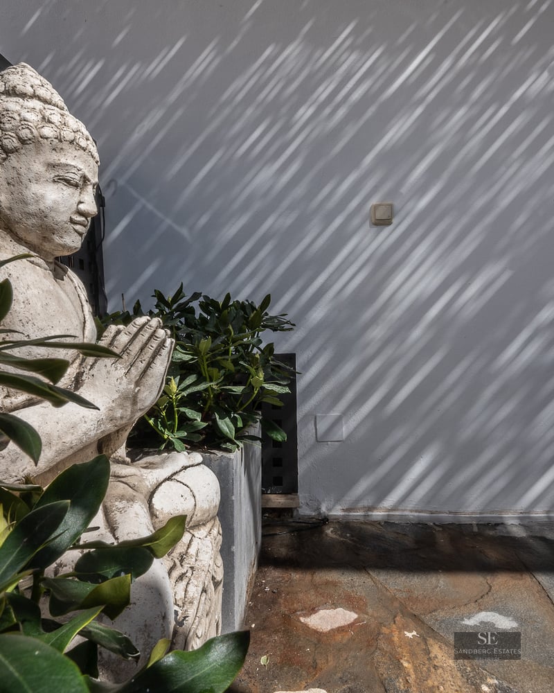 A stone Buddha statue tucked into green foliage on a terrace, with linear shadows falling on a white wall.