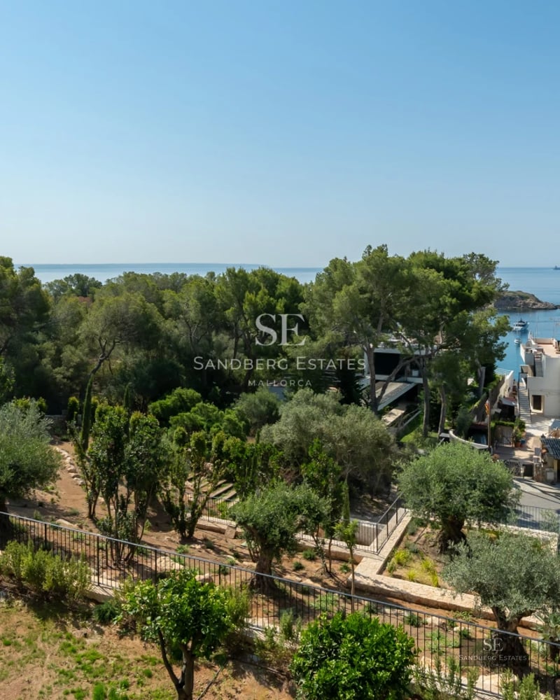 View of a modern infinity pool, surrounded by greenery, with a contemporary design house in the background.