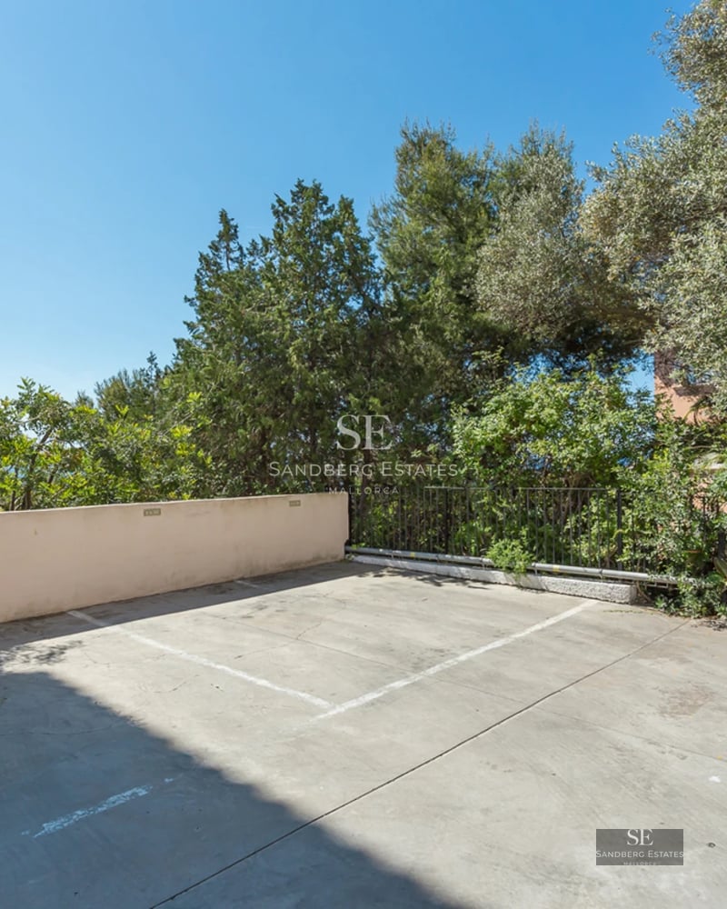 Outdoor parking space with marked white lines, surrounded by lush green trees and a low wall under a clear blue sky.