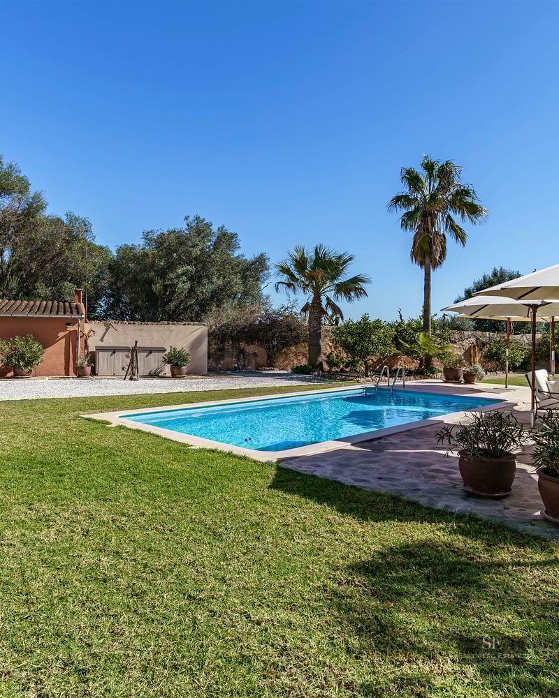 Sun-drenched swimming pool surrounded by a lush green lawn, palm trees, and a lounge area with umbrellas under a blue sky.