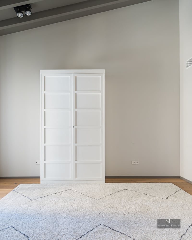 Modern empty room with white wardrobe, light wood floors, textured rug, and slanted ceiling with grey beams.