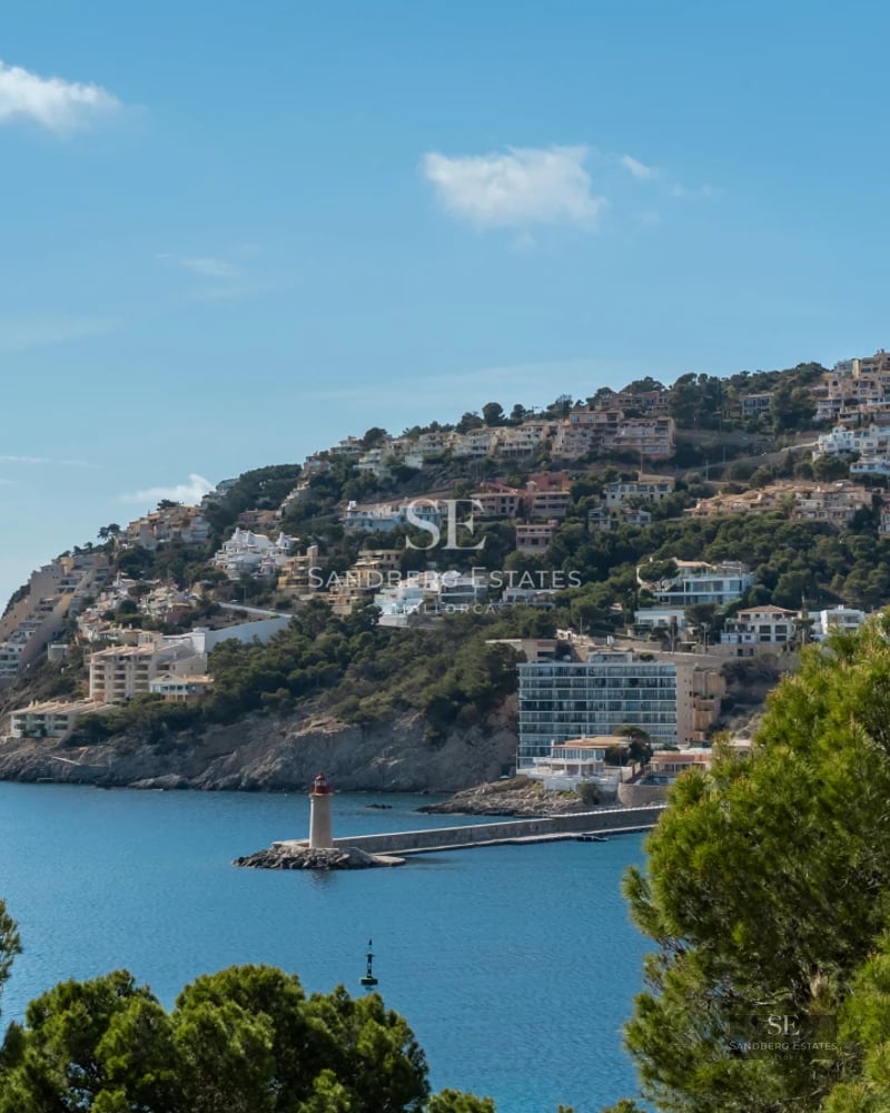 View of a luxurious house with infinity pool, lush garden and modern architecture. Large windows, minimalist design.