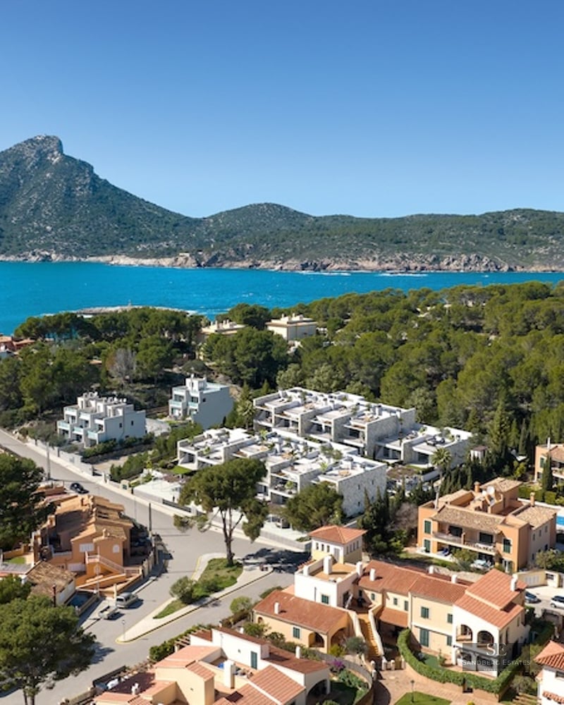 Aerial view of coastal villas nestled in pine forests by a turquoise sea with a large mountain peak in the background.