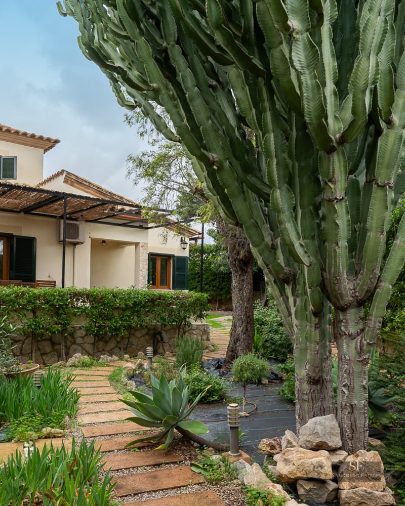 View of a lush garden featuring a large cactus, stone pathway, and a Mediterranean home with green shutters.