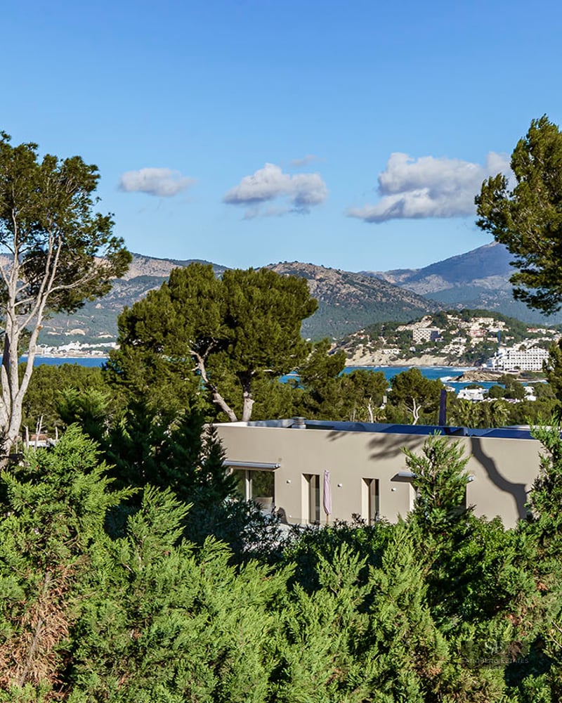 Modern villa nestled in pine trees with Mediterranean sea and mountain views in the distance.