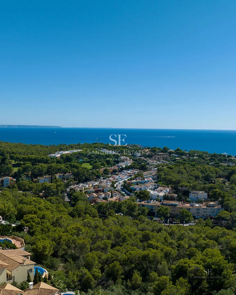 Aerial view of a Mediterranean coastal town with lush pine forests, terracotta roof houses, and the deep blue sea.
