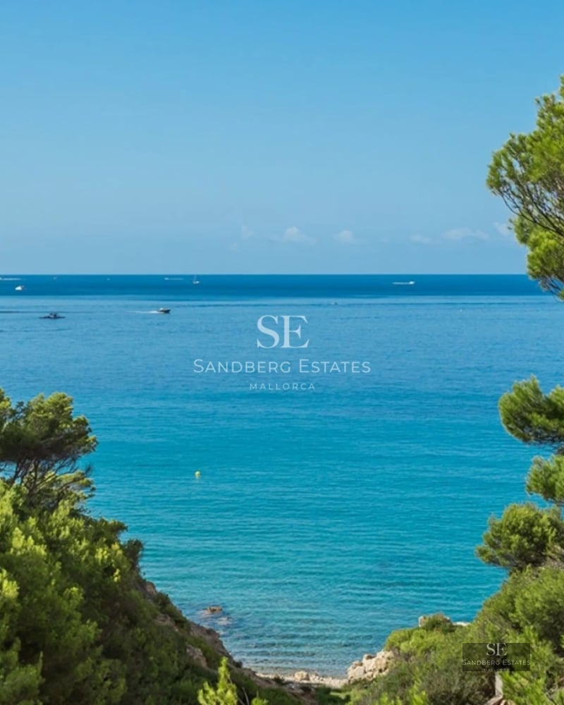 Exterior of modern villa with pool. Large glass windows, minimalist design and lush garden. Avant-garde architecture.