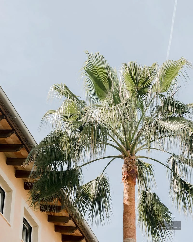 Exterior view of a modern house with pool, lush garden and minimalist architecture. Sleek and contemporary design.