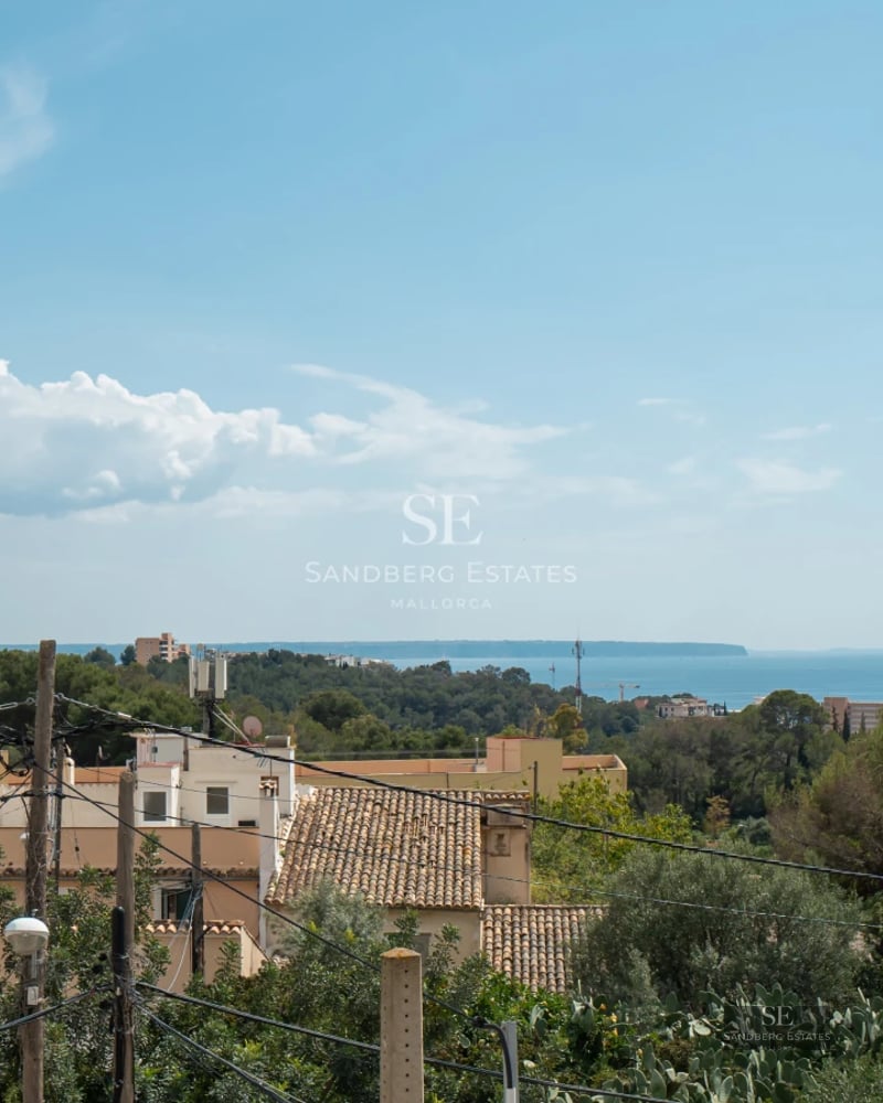 Large swimming pool surrounded by lush greenery and lounge chairs. Modern architecture with large windows and minimalist facade.
