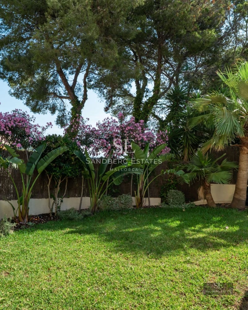 Panoramic view of an infinity pool with natural stone border and landscaped surroundings. Modern and minimalist design.