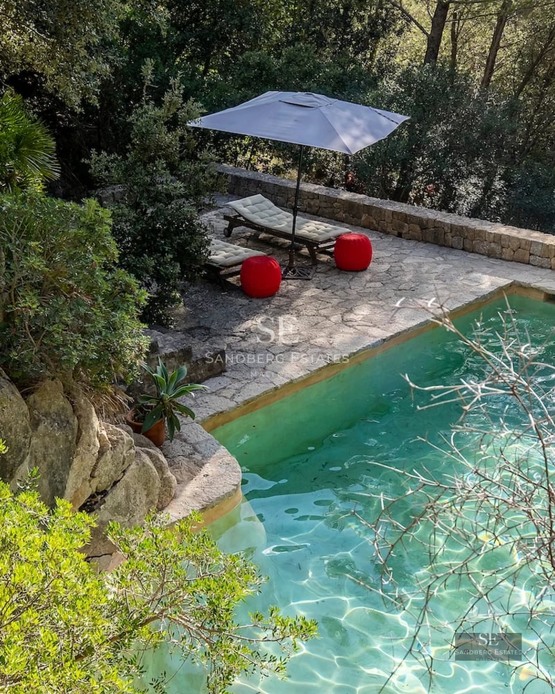 Bright living room with large windows, outdoor pool, wood flooring, and modern furniture. Minimalist design.
