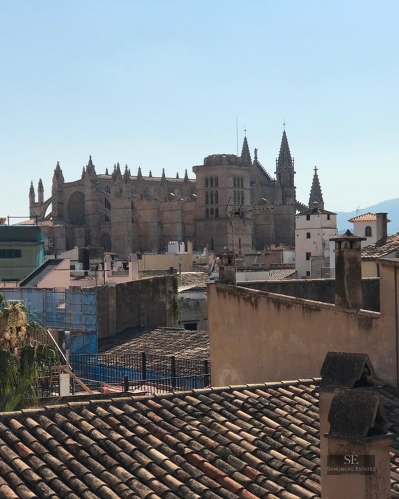 Rooftop view of the historic Palma Cathedral rising above city buildings under a clear blue sky.