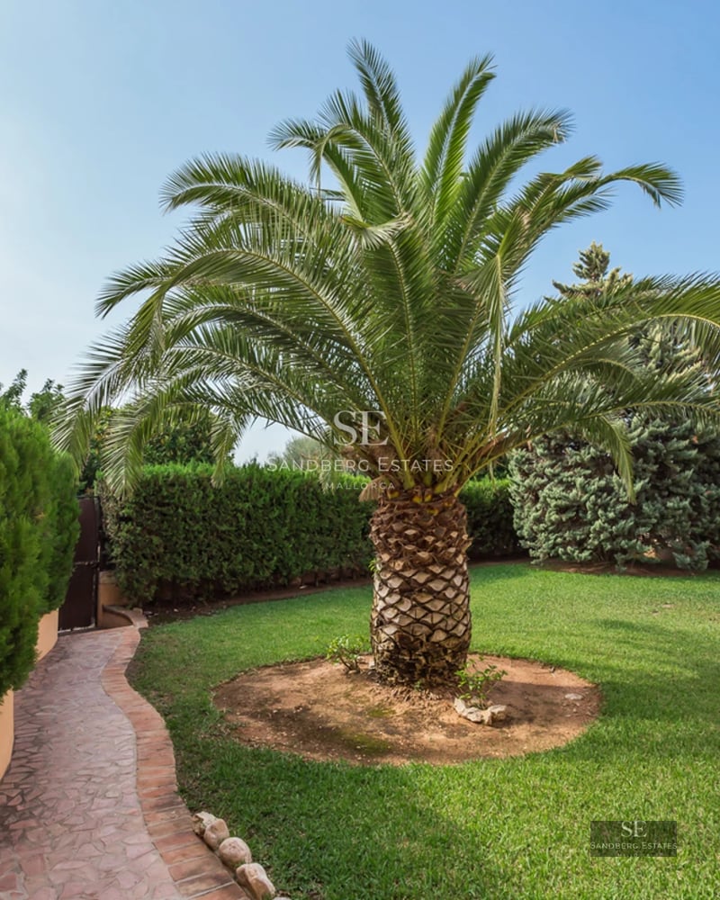 Modern villa view with large terrace, infinity pool, sun loungers, and minimalist outdoor furniture. Well-maintained garden.