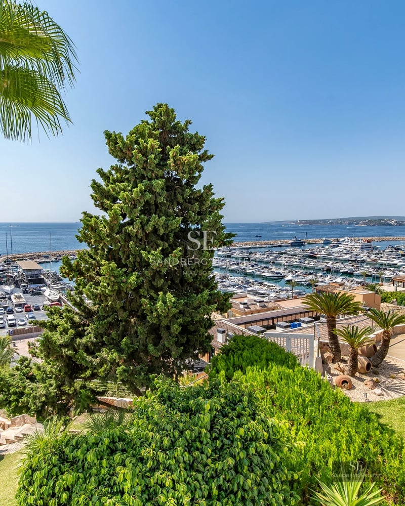 View of an elegant pool surrounded by a lush garden and modern architecture featuring large windows.