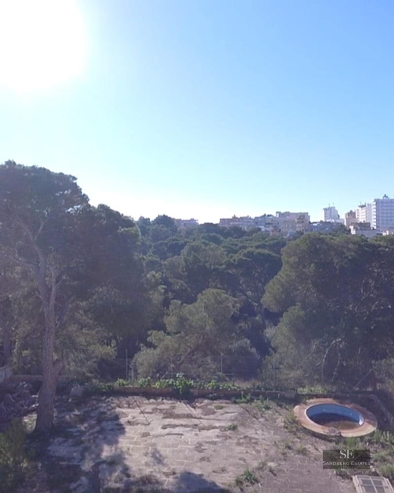 Elevated view of a garden with a small circular pool, large pine trees, and the city skyline in the distance.