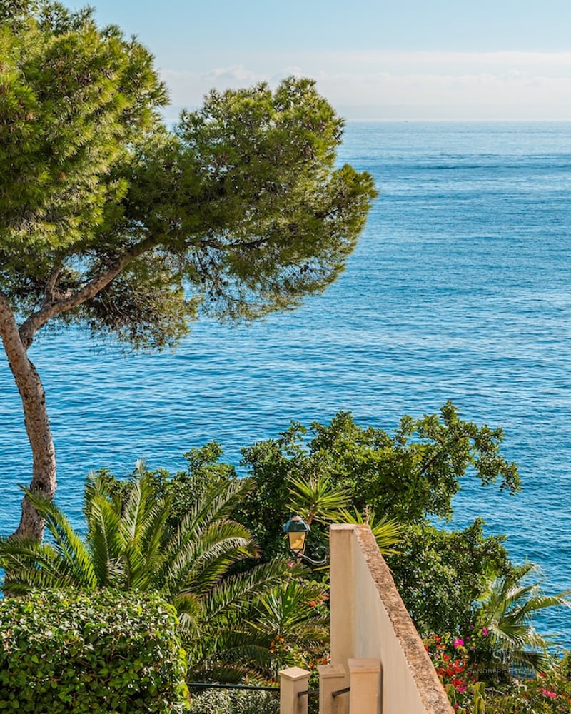 View from a balcony with metal railing overlooking the blue Mediterranean Sea surrounded by pine trees and palms.