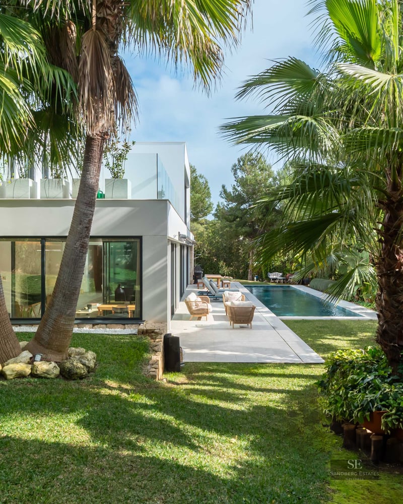 Jardin verdoyant avec palmiers menant à une villa blanche moderne et une piscine sous un ciel bleu.