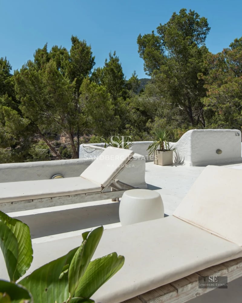 Exterior of a modern house featuring a reflective pool, large windows, and a lush garden. Minimalist and elegant architecture.